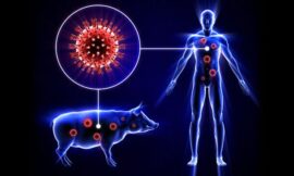 Swine Flu : Causes, Symptoms, Prevention, Treatment